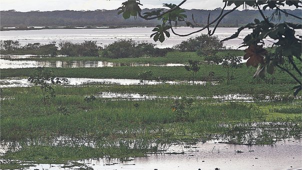Loreto se queda sin beneficios tributarios